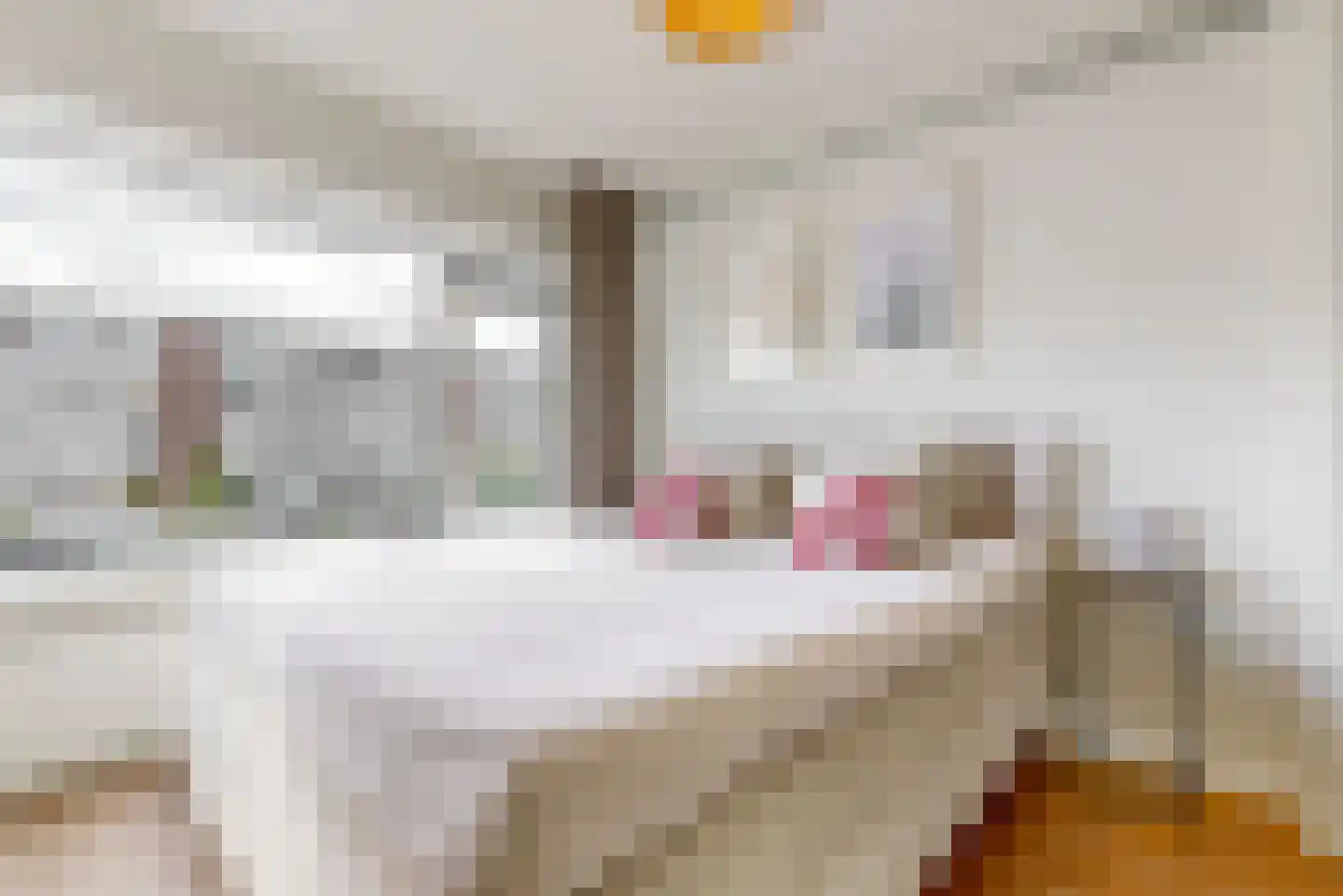 Auriollaan 21 Utrecht thumbnail 14