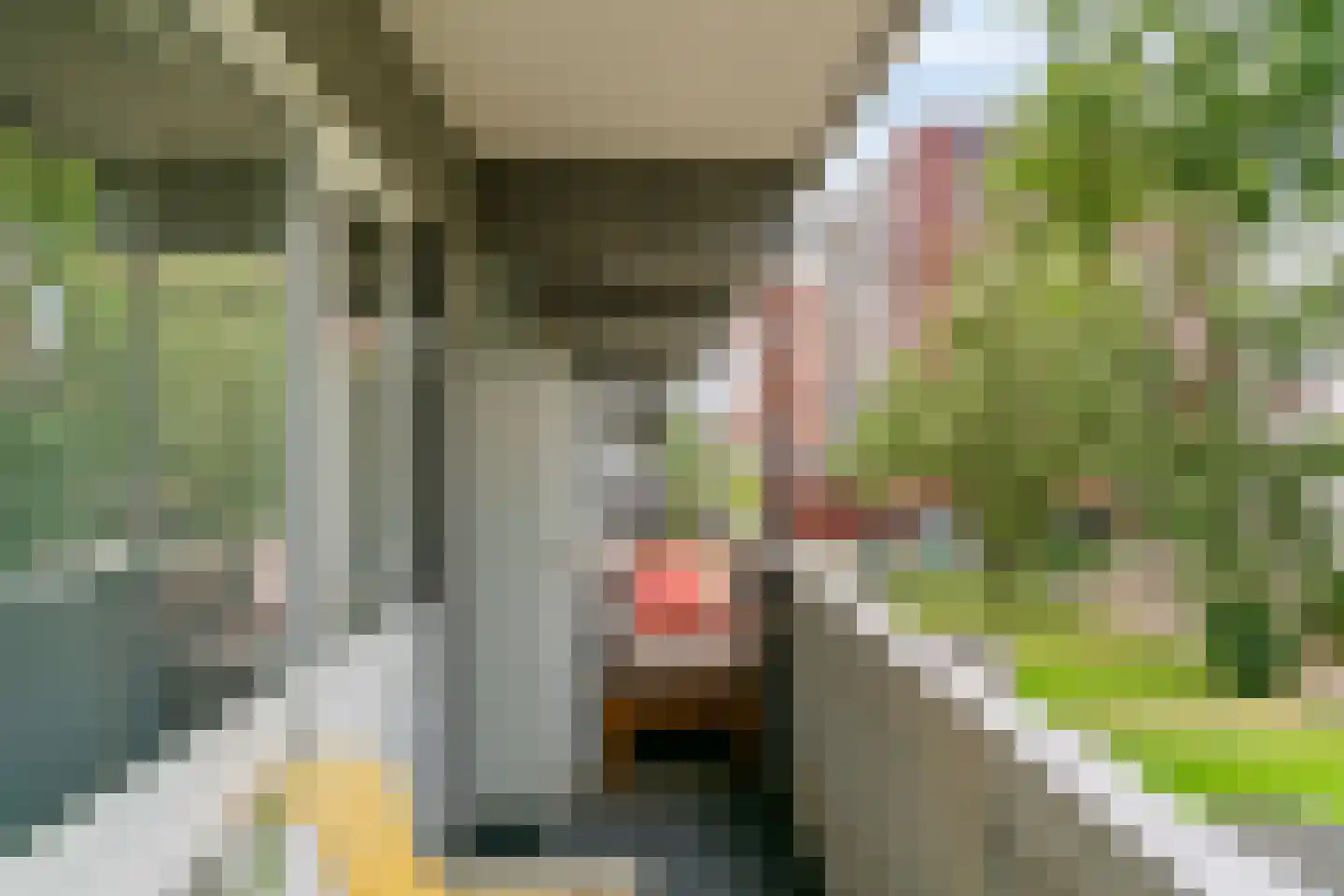 Auriollaan 21 Utrecht thumbnail 24