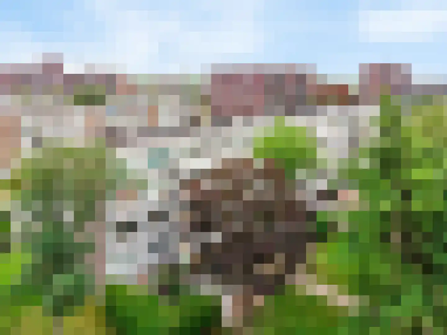 Auriollaan 21 Utrecht thumbnail 30