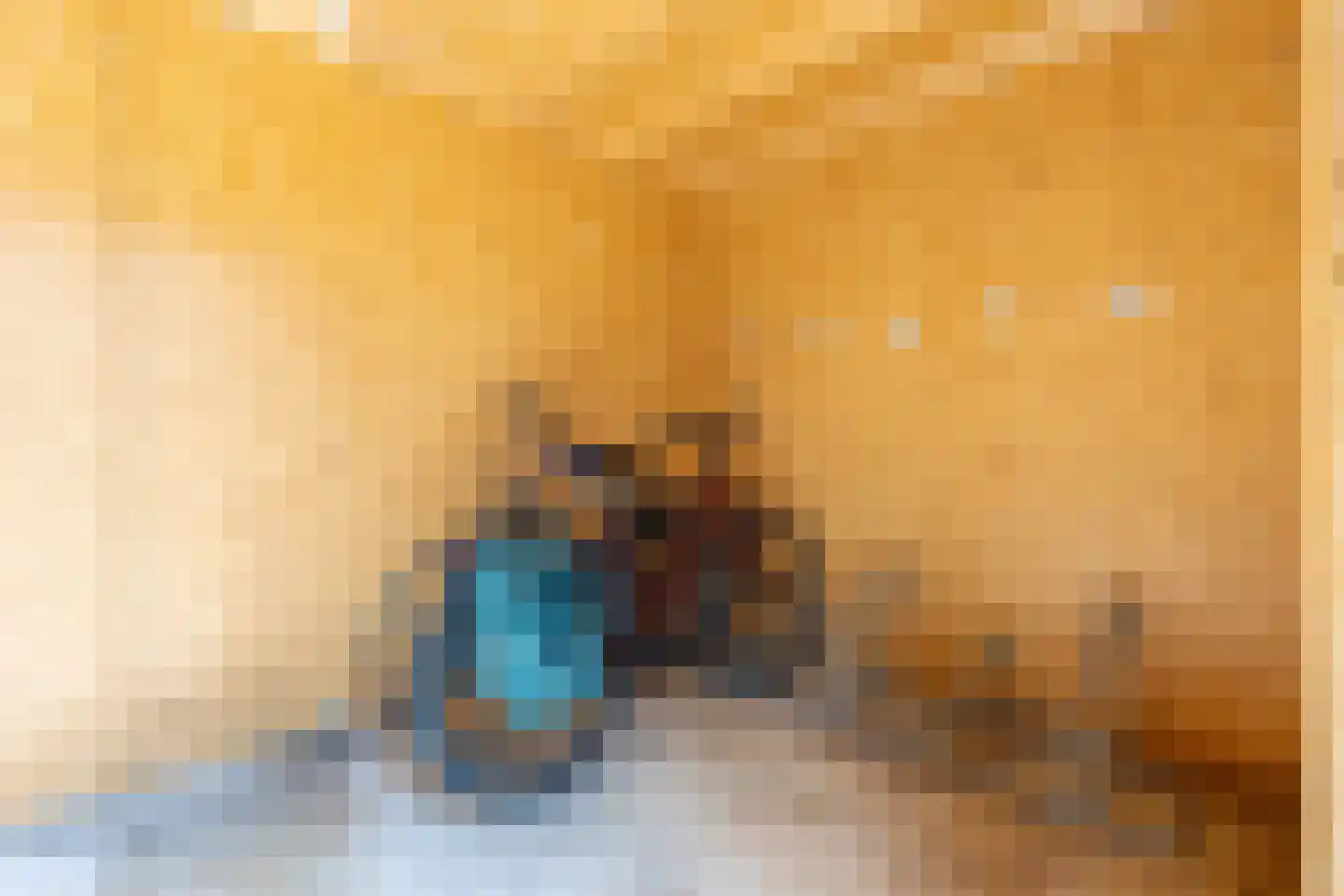 Auriollaan 22 Utrecht thumbnail 22