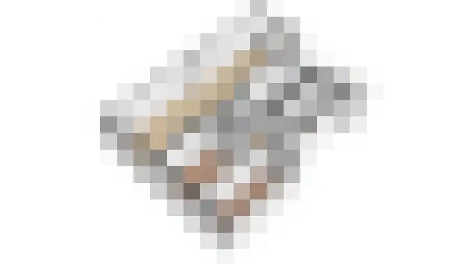 Auriollaan 22 Utrecht thumbnail 33