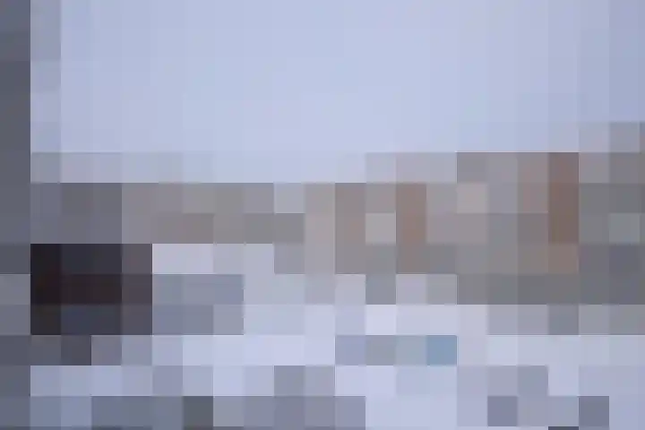 Auriollaan 23 Utrecht thumbnail 13