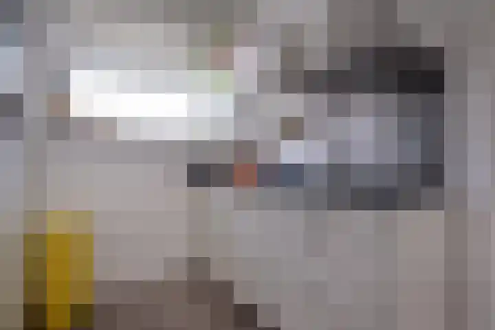 Auriollaan 23 Utrecht thumbnail 16