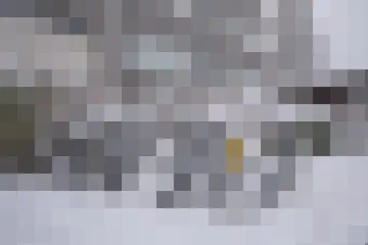 Auriollaan 23 Utrecht thumbnail 24