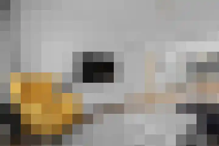 Auriollaan 25 Utrecht thumbnail 19