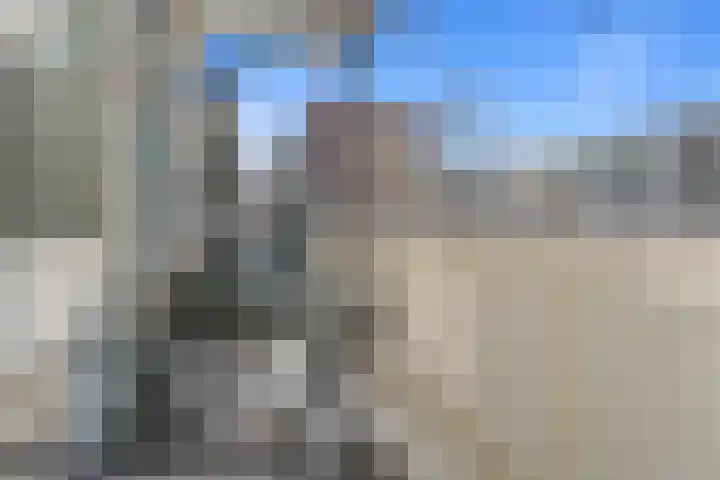 Auriollaan 25 Utrecht thumbnail 31