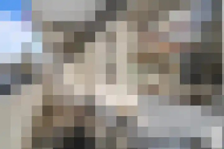 Auriollaan 25 Utrecht thumbnail 32