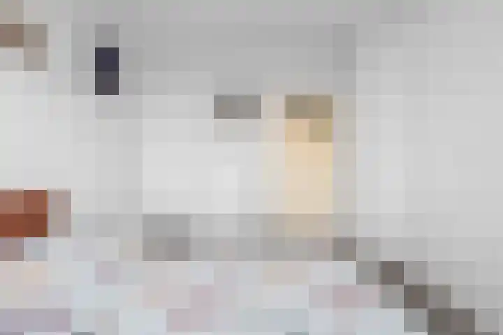 Auriollaan 25 Utrecht thumbnail 35