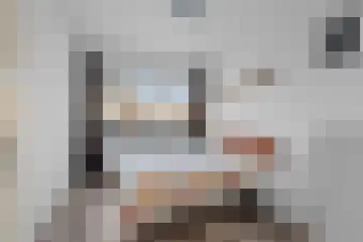 Auriollaan 25 Utrecht thumbnail 36