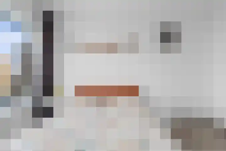 Auriollaan 25 Utrecht thumbnail 37