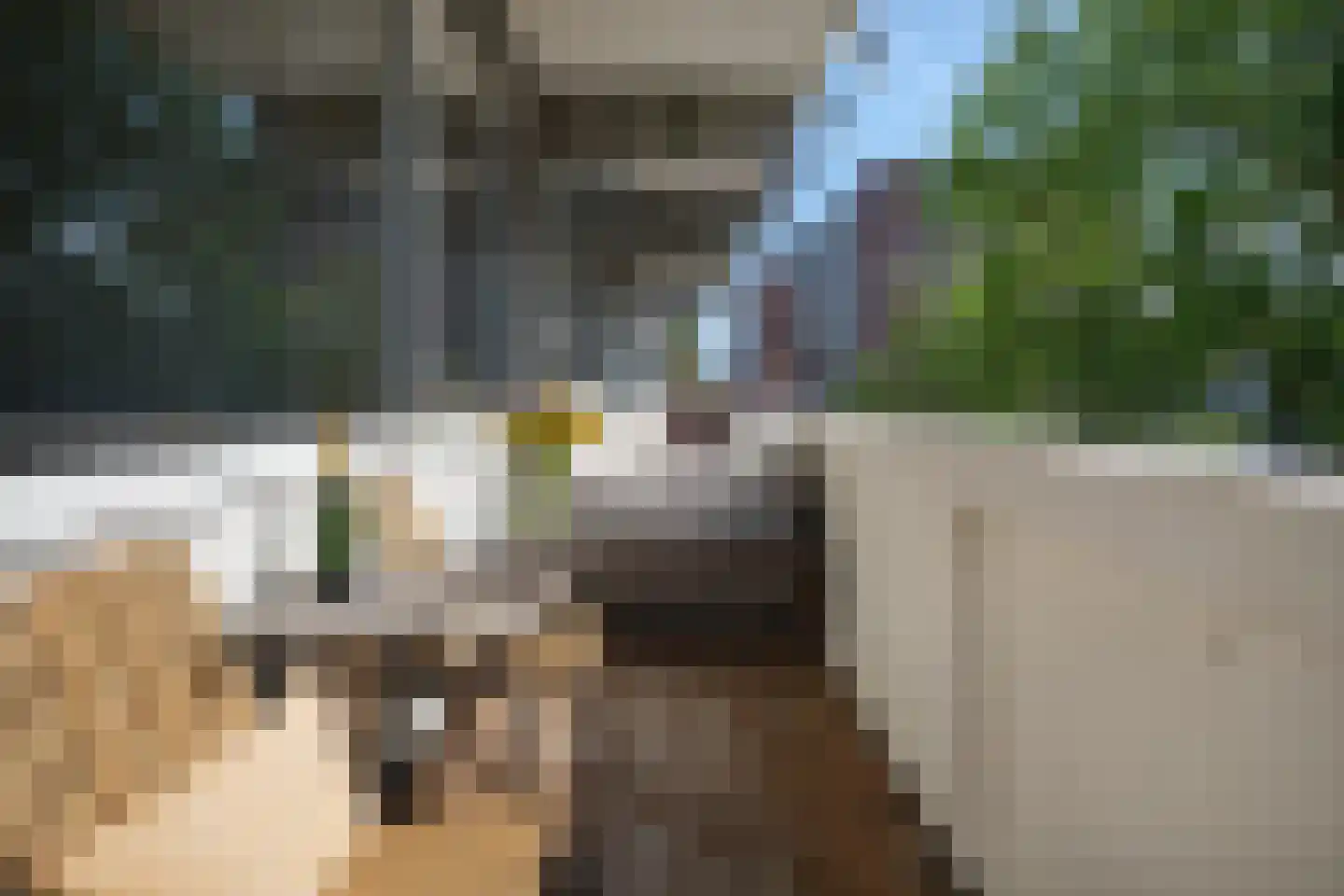 Auriollaan 27 Utrecht thumbnail 24