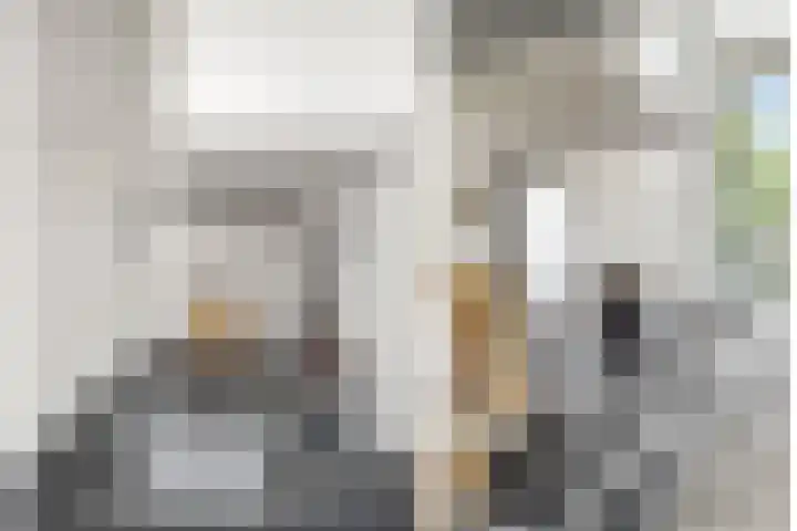 Auriollaan 30 Utrecht thumbnail 17