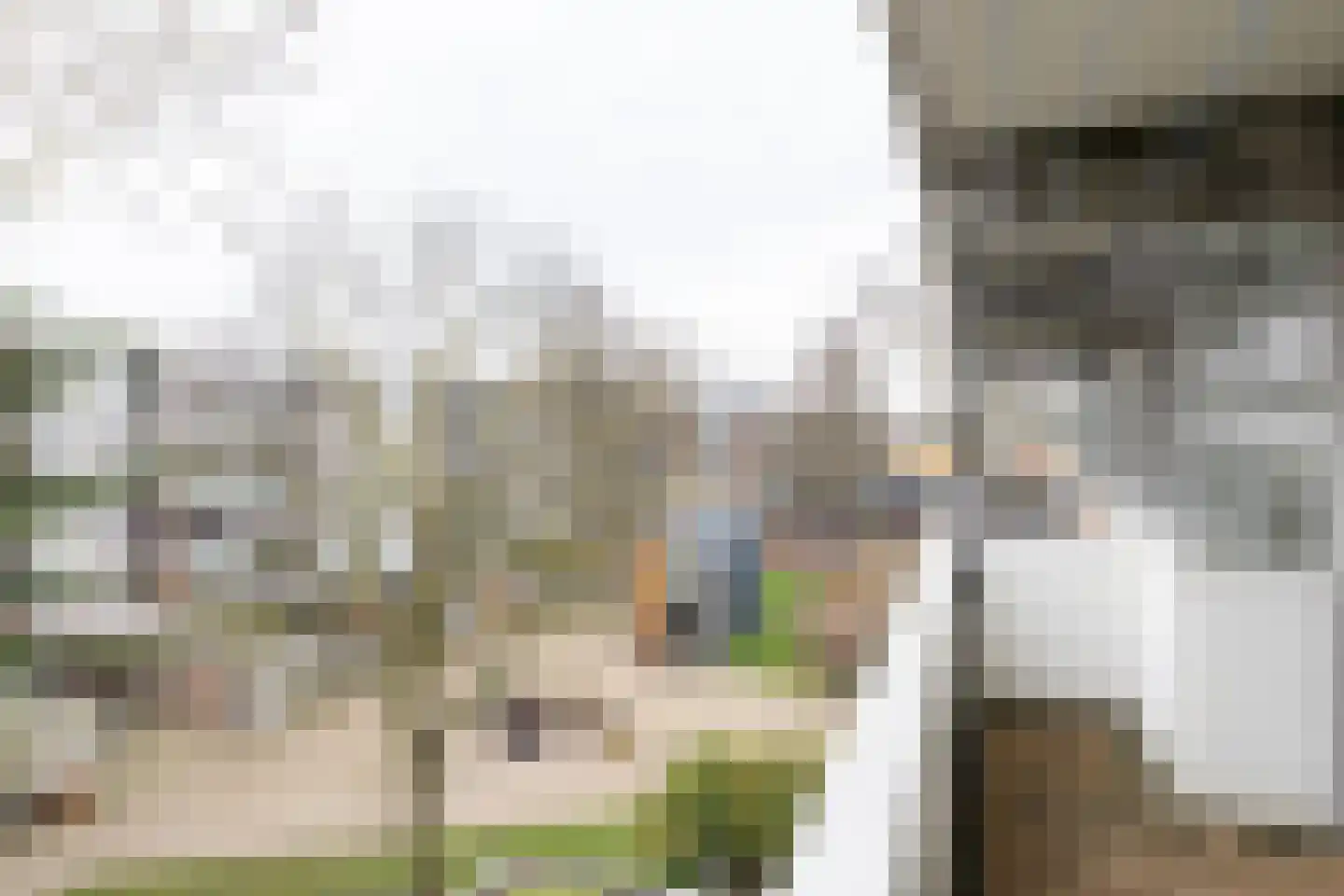 Auriollaan 31 Utrecht thumbnail 18