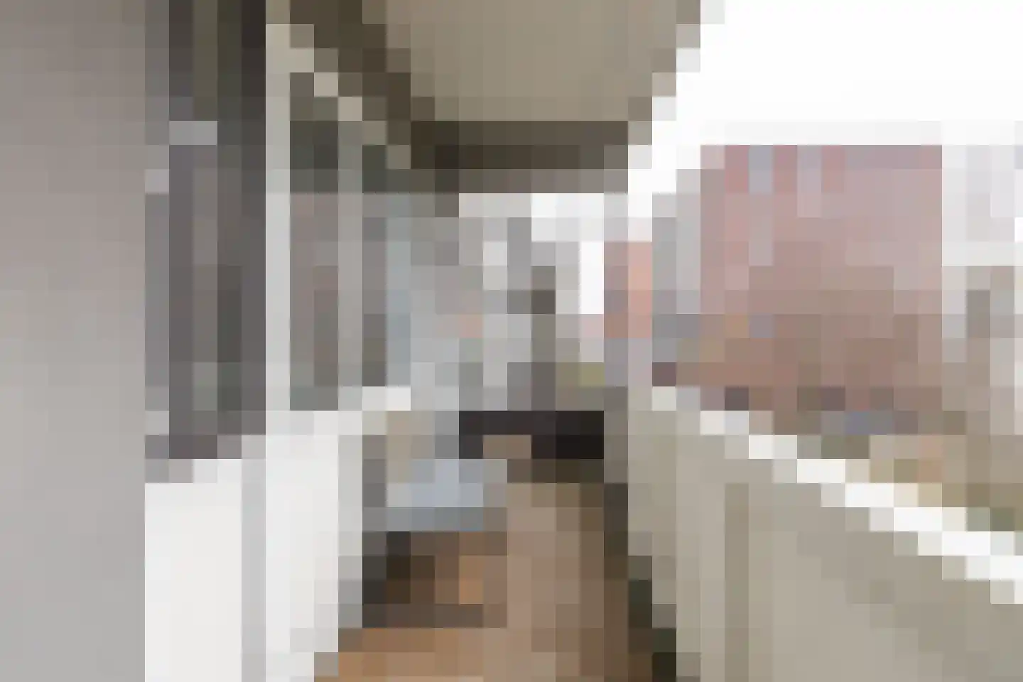 Auriollaan 31 Utrecht thumbnail 19