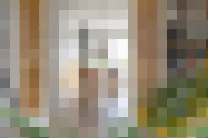 Auriollaan 43 A Utrecht thumbnail 18