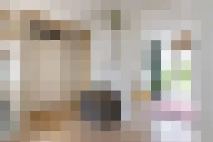Auriollaan 43 A Utrecht thumbnail 19