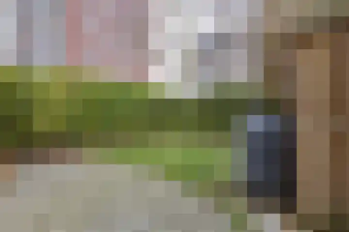 Auriollaan 43 A Utrecht thumbnail 30
