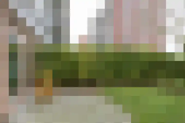 Auriollaan 43 A Utrecht thumbnail 31
