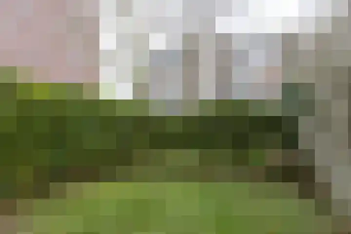 Auriollaan 43 A Utrecht thumbnail 32