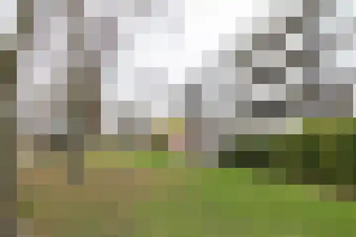 Auriollaan 43 A Utrecht thumbnail 39