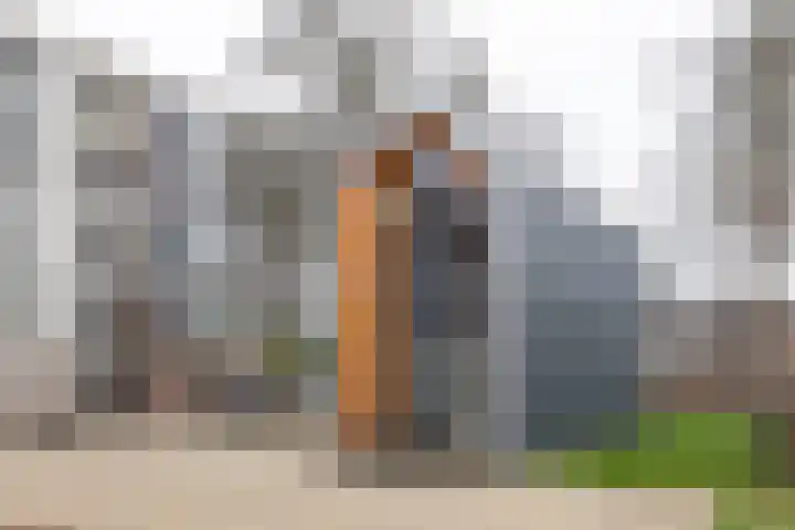 Auriollaan 43 A Utrecht thumbnail 40