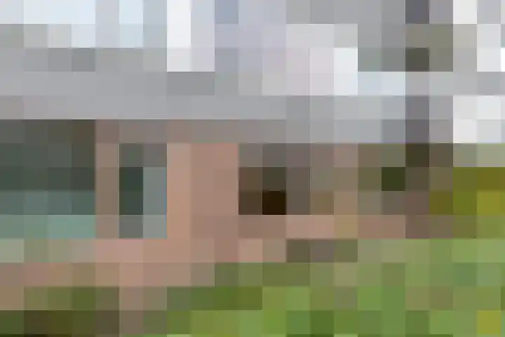 Auriollaan 43 A Utrecht thumbnail 42