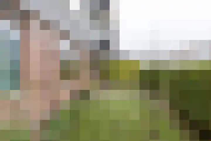 Auriollaan 43 A Utrecht thumbnail 43