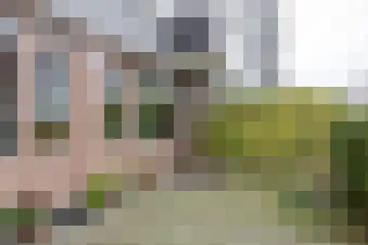 Auriollaan 43 A Utrecht thumbnail 44