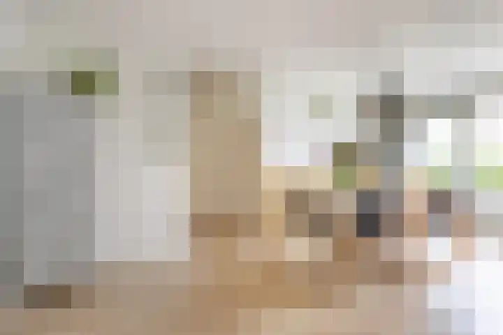 Auriollaan 43 A Utrecht thumbnail 8