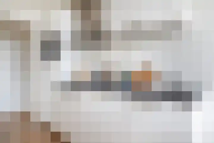 Auriollaan 58 Utrecht thumbnail 15