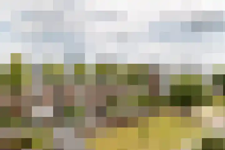 Auriollaan 58 Utrecht thumbnail 17