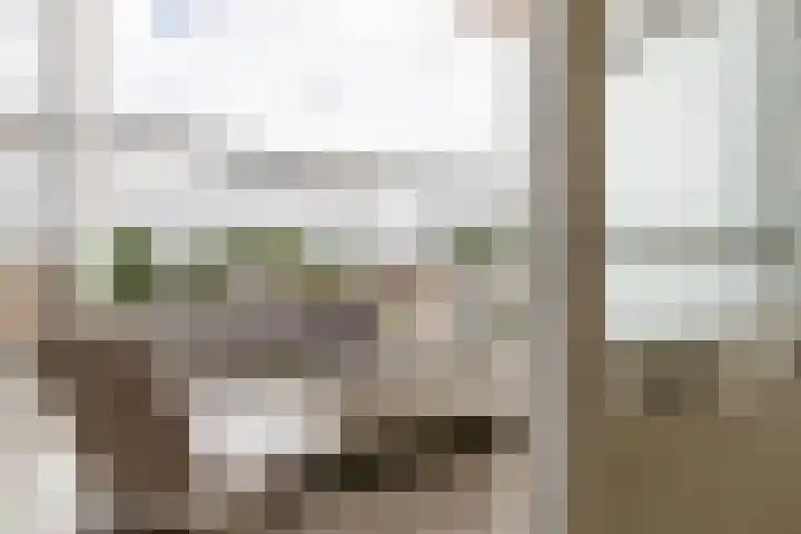 Auriollaan 58 Utrecht thumbnail 18