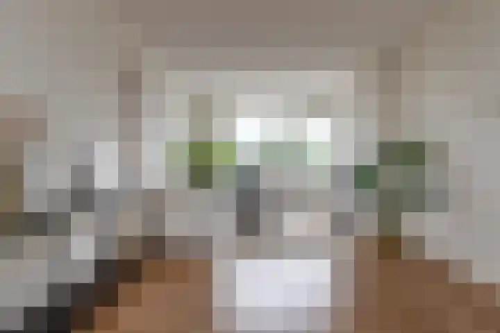 Auriollaan 58 Utrecht thumbnail 4