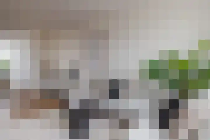 Auriollaan 58 Utrecht thumbnail 5