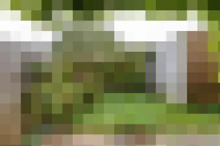 Auriollaan 66 A Utrecht thumbnail 12