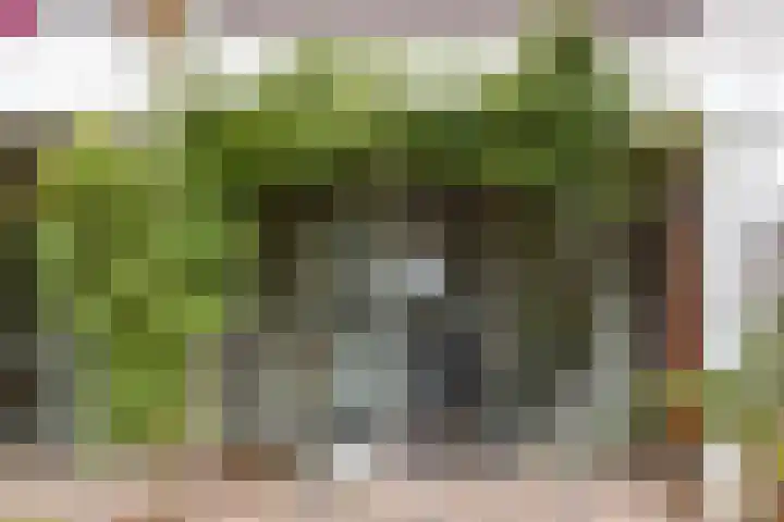 Auriollaan 66 A Utrecht thumbnail 13