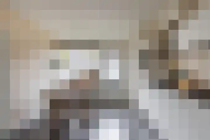 Auriollaan 66 A Utrecht thumbnail 7