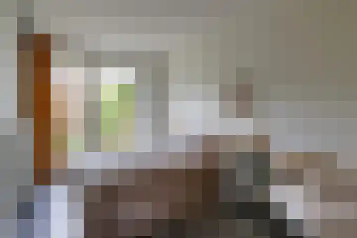 Auriollaan 66 A Utrecht thumbnail 9