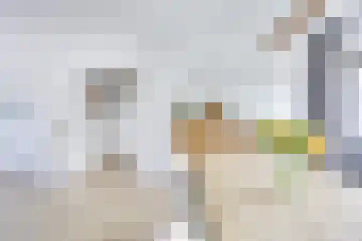 Auriollaan 73 Utrecht thumbnail 21