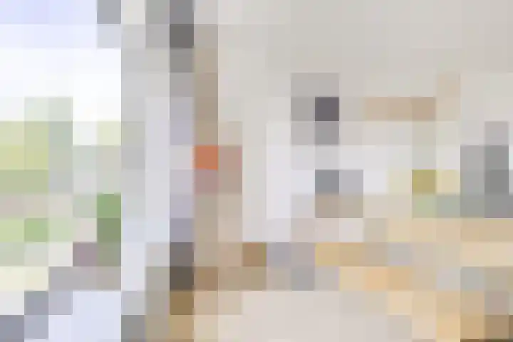 Auriollaan 73 Utrecht thumbnail 23