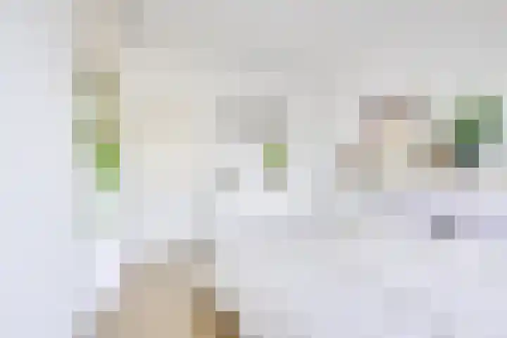 Auriollaan 73 Utrecht thumbnail 28