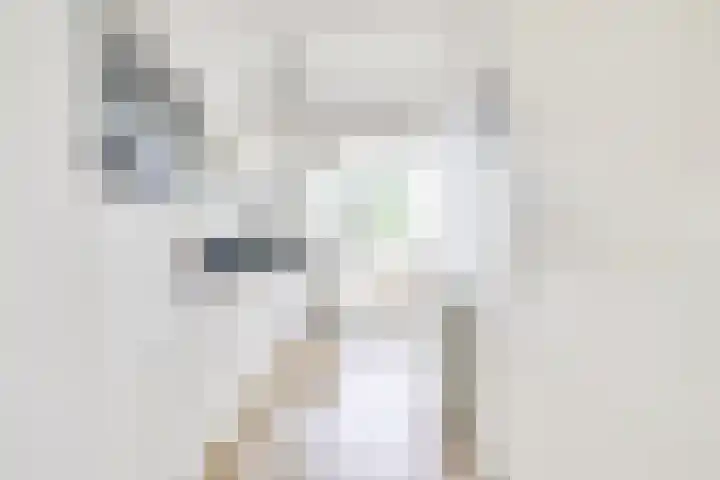Auriollaan 73 Utrecht thumbnail 30