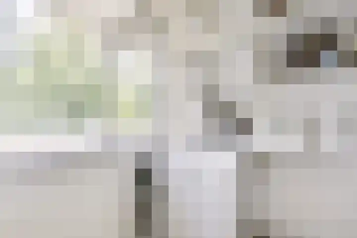 Auriollaan 73 Utrecht thumbnail 34
