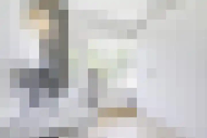 Auriollaan 73 Utrecht thumbnail 37
