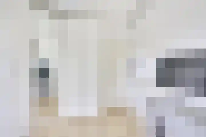 Auriollaan 73 Utrecht thumbnail 39