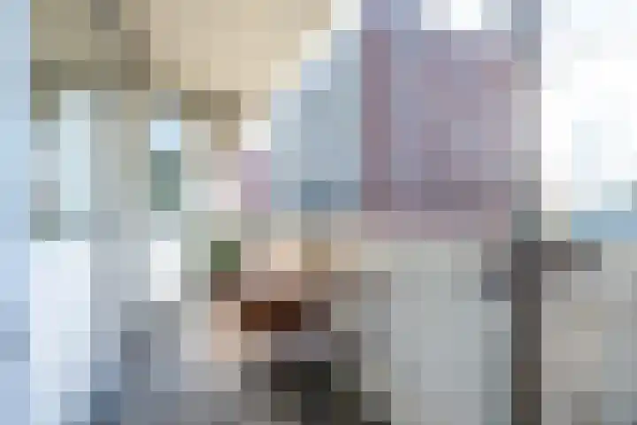 Auriollaan 73 Utrecht thumbnail 44