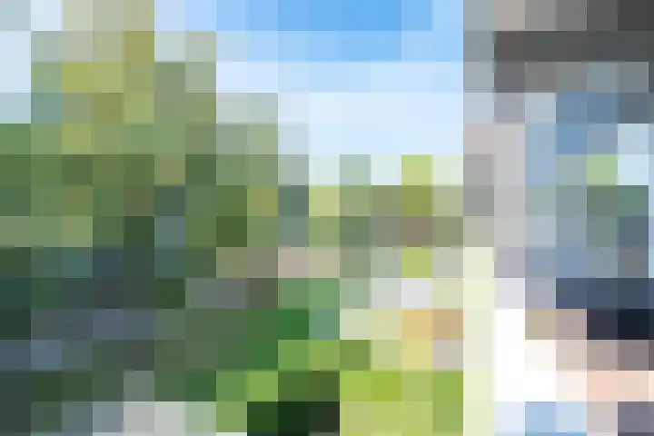 Auriollaan 73 Utrecht thumbnail 45