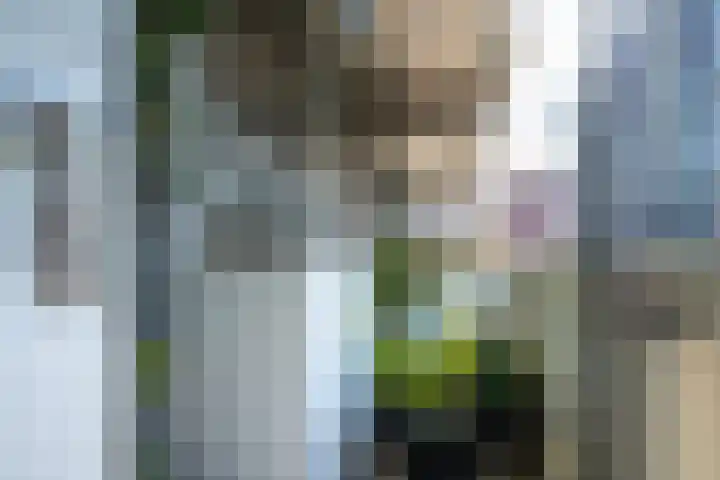 Auriollaan 73 Utrecht thumbnail 49