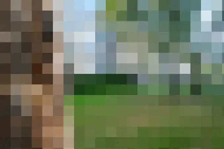 Auriollaan 73 Utrecht thumbnail 55