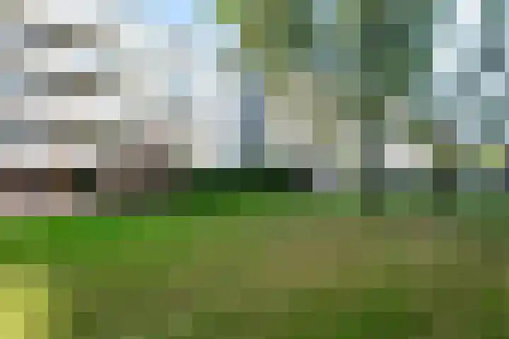 Auriollaan 73 Utrecht thumbnail 56